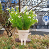 Hangende Succulenten Pot