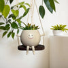 Hangende Succulenten Pot