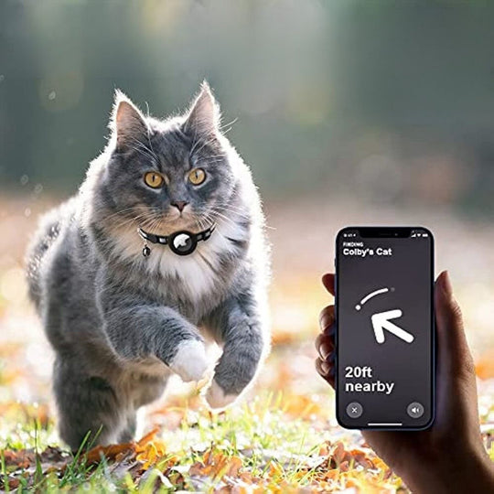 Kat GPS Tracker Halsband | Reflecterende Veiligheid Snelsluiting Huisdier Nekband