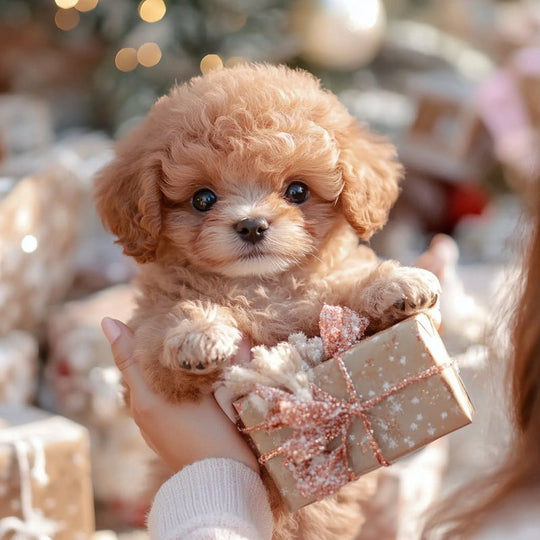 Interactive Plush Dog | Animated Toy for Children & Seniors