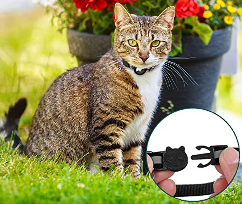 Kat GPS Tracker Halsband | Reflecterende Veiligheid Snelsluiting Huisdier Nekband