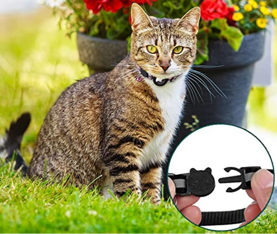 Kat GPS Tracker Halsband | Reflecterende Veiligheid Snelsluiting Huisdier Nekband