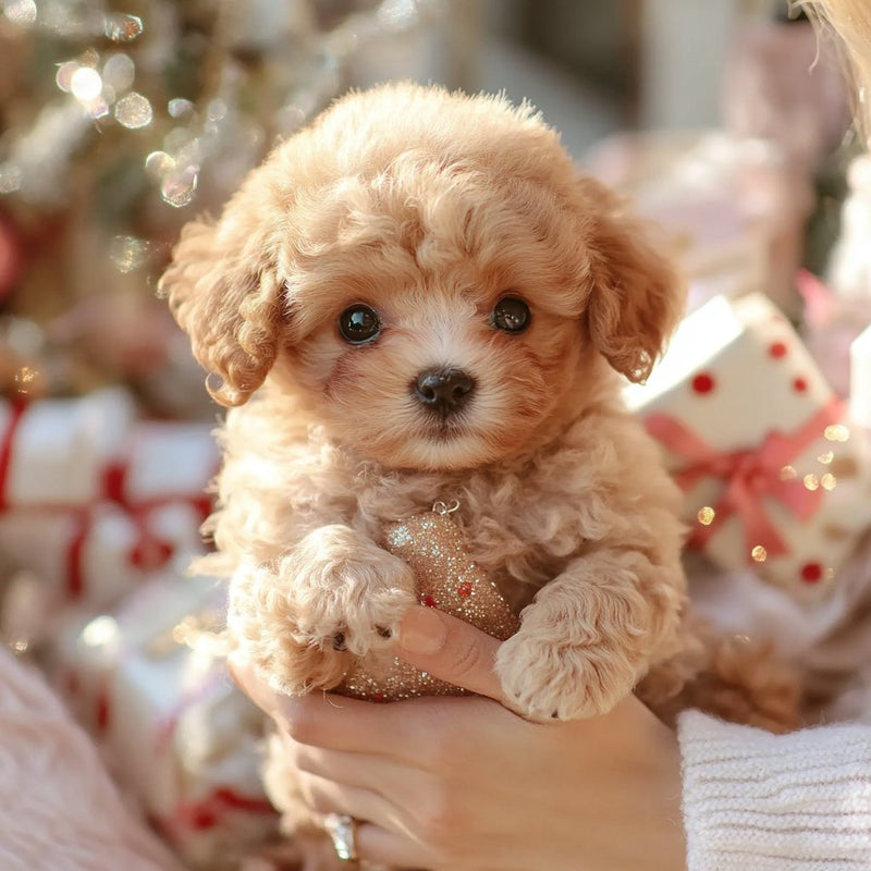 Interactive Plush Dog | Animated Toy for Children & Seniors