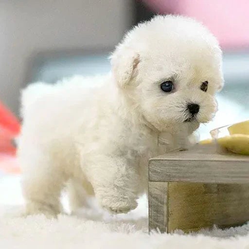 Interactive Plush Dog | Animated Toy for Children & Seniors