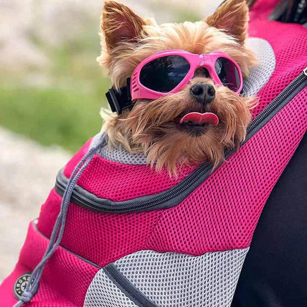 Sport Backpack for Pets with Adjustable Straps for Small Dogs and Cats