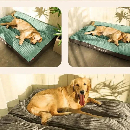 Large Washable Dog Bed - Calming Sleep Mattress for Pets