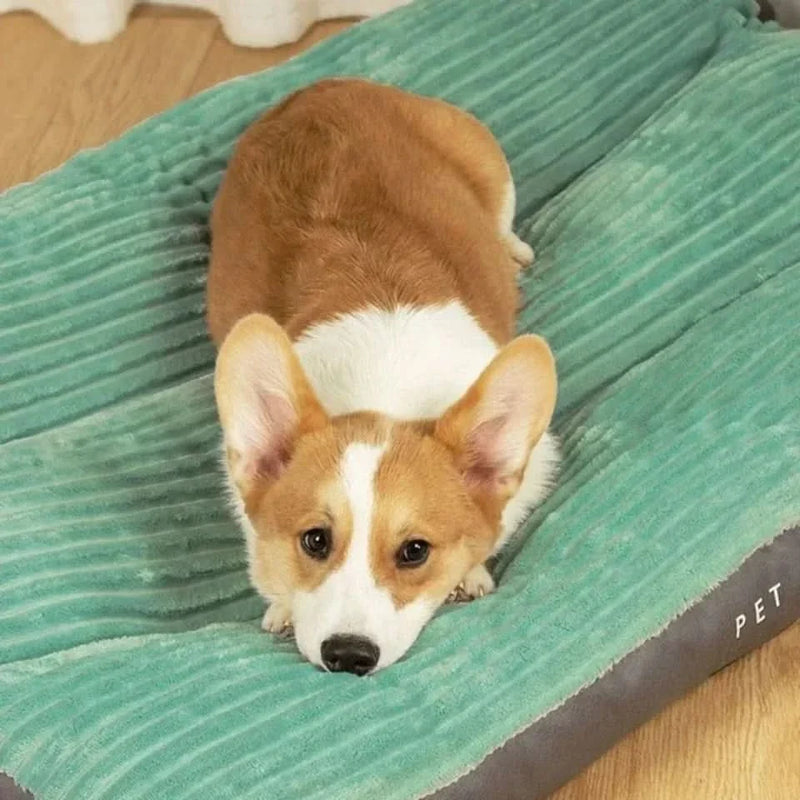 Large Washable Dog Bed - Calming Sleep Mattress for Pets