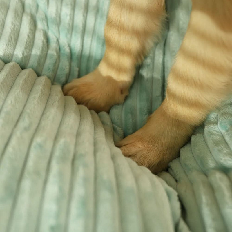 Large Washable Dog Bed - Calming Sleep Mattress for Pets