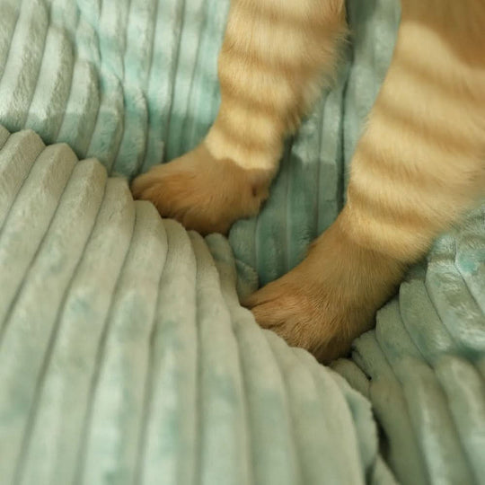 Large Washable Dog Bed - Calming Sleep Mattress for Pets