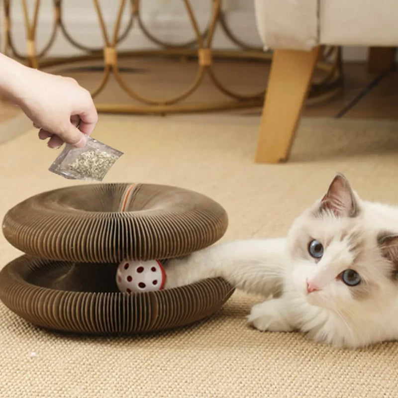 Graffiatoio per gatti espandibile | Pista con palline interattiva e tunnel gioco