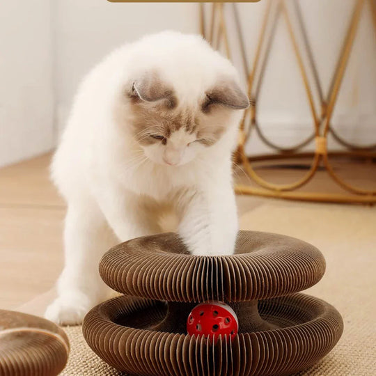 Graffiatoio per gatti espandibile | Pista con palline interattiva e tunnel gioco