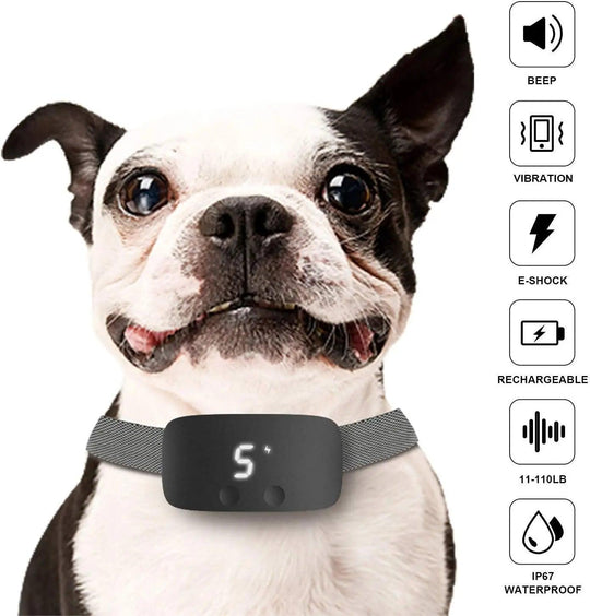 Collare per cani anti-abbaio automatico – Collare da addestramento ricaricabile impermeabile
