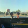 Schattige Dashboarddecoratie