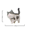 Schattige Kattenbeeldjes
