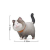 Schattige Kattenbeeldjes