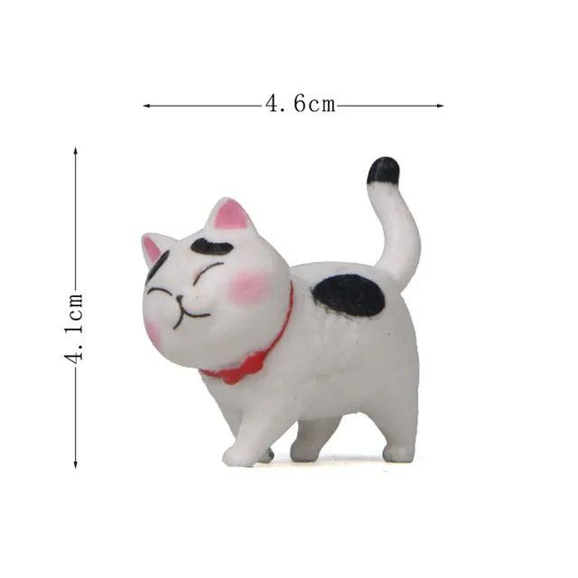 Schattige Kattenbeeldjes