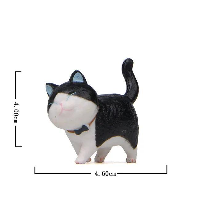 Schattige Kattenbeeldjes