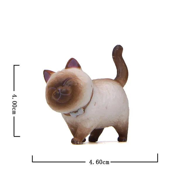 Schattige Kattenbeeldjes