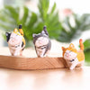 Schattige Kattenbeeldjes