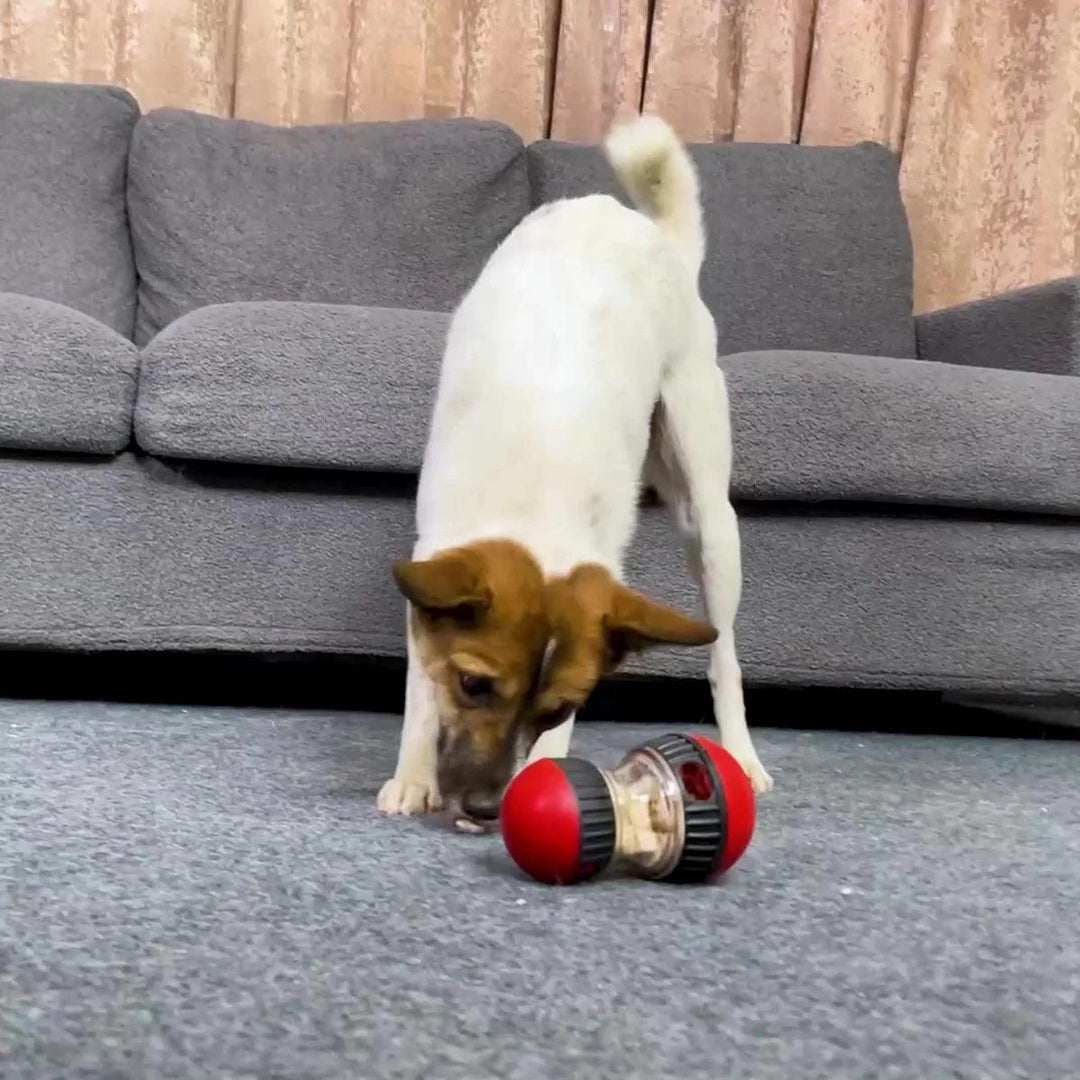 Gioco interattivo per cani - Palla slow feeder miglioratrice di IQ per cani piccoli e di taglia media