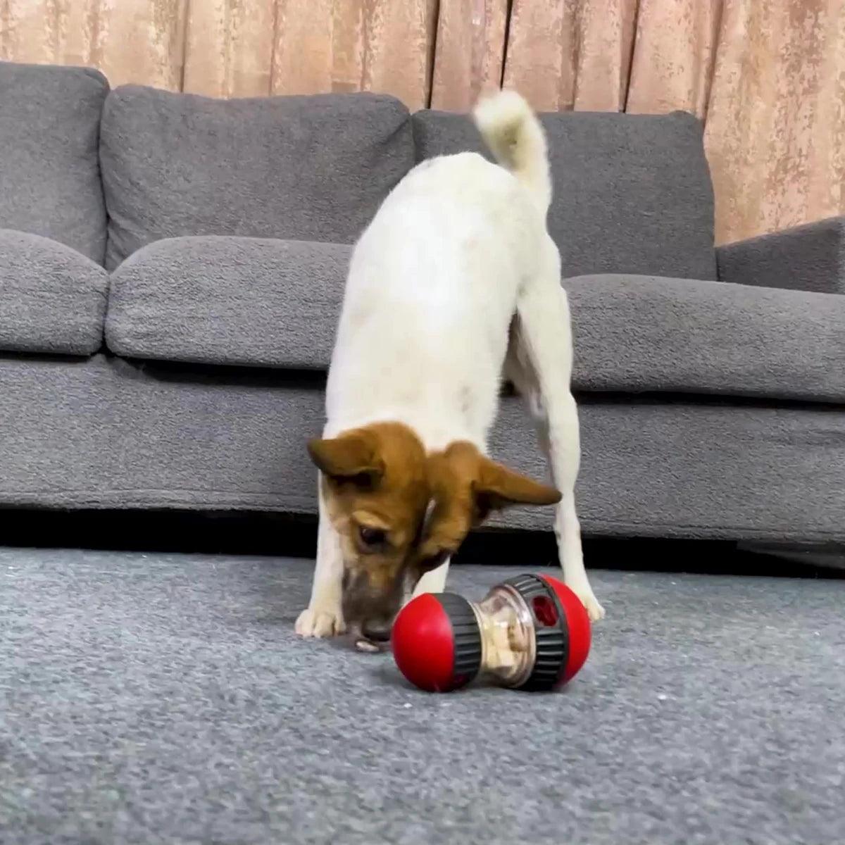 Interactief Hondenspeeltje - IQ Verbeterende Slow Feeder Bal voor Kleine & Middelgrote Honden