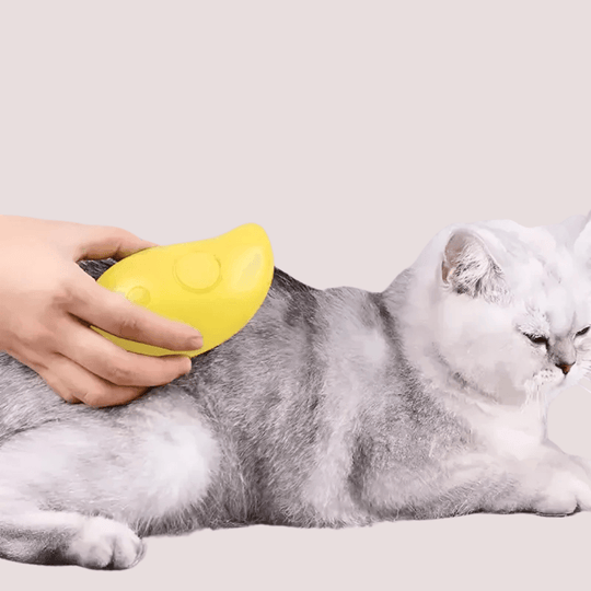 Spazzola elettrica per gatti con spruzzatore d'acqua