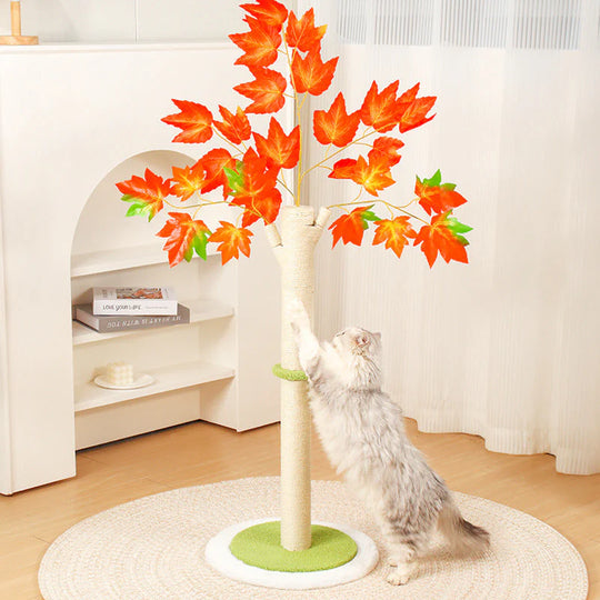AutumnPaws Krabboom