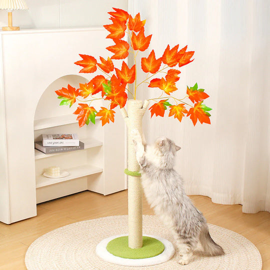 AutumnPaws Krabboom