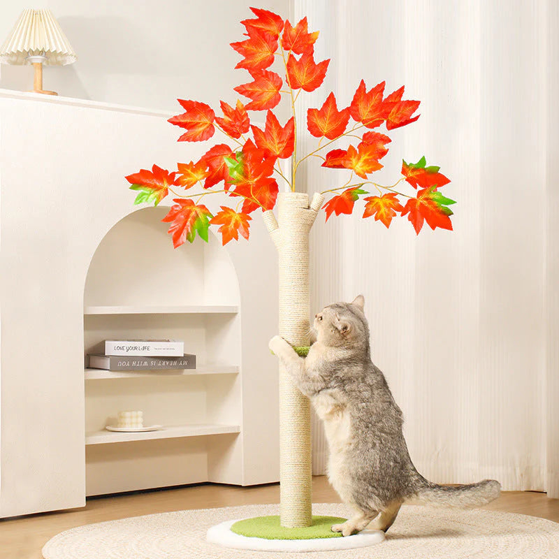 AutumnPaws Krabboom