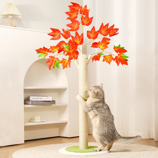 AutumnPaws Krabboom