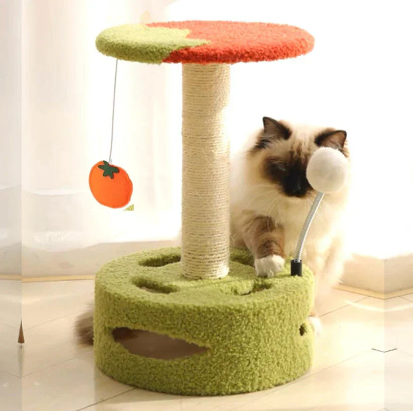 Torre da Grattare e Gioco – Divertimento Compatto per Ogni Gatto