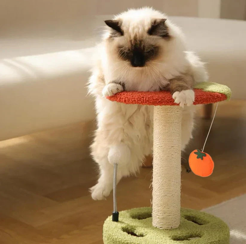 Torre da Grattare e Gioco – Divertimento Compatto per Ogni Gatto