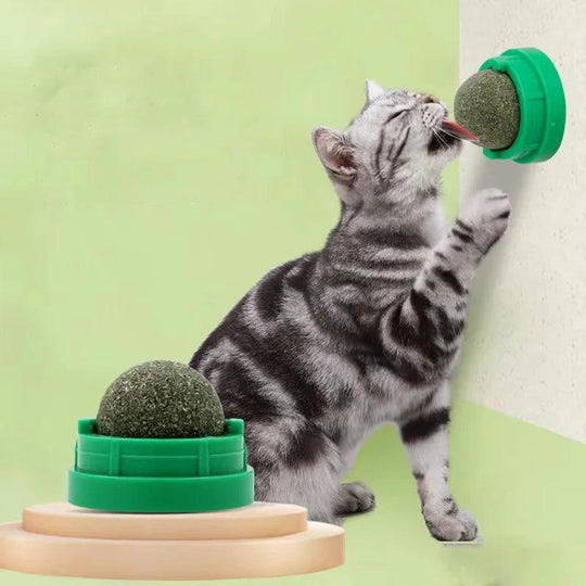 Gioco a Bastoncino con Menta per Gatti – Divertimento Sano per il Tuo Gatto