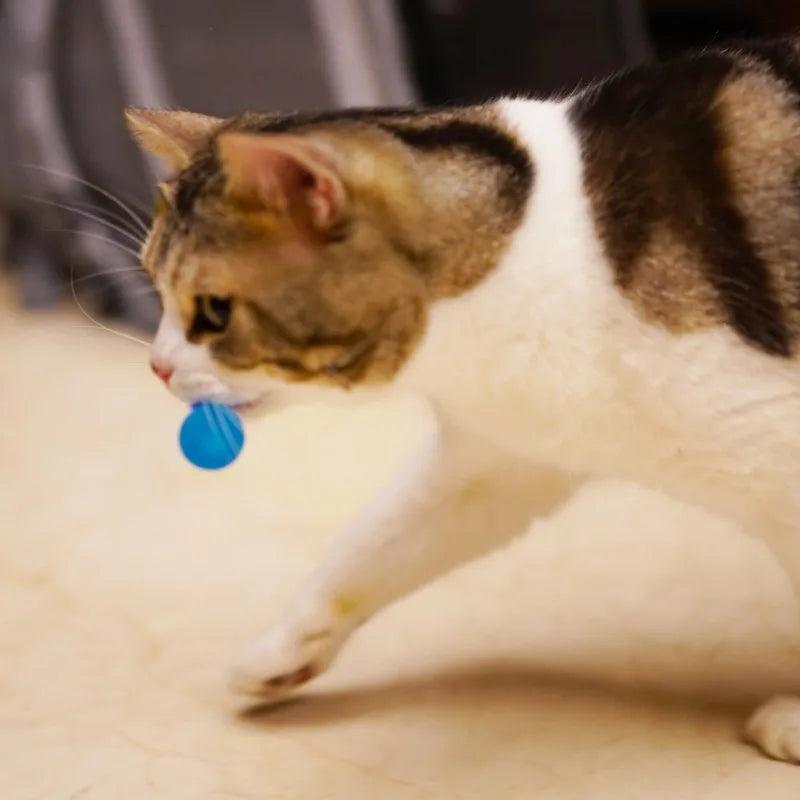 3-delige Set - Elastische Rupsbal Speeltjes voor Katten