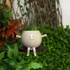 Hangende Succulenten Pot