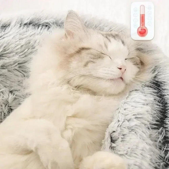 Cuscino Rotondo per Gatti – Letto per Animali 2-in-1 Semi-Chiuso in Morbido Peluche per Gatti e Cani Piccoli