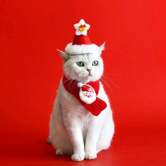 Cappello con polsino di Babbo Natale per animali domestici – Costume caldo lavorato a maglia per gatti e cani – Design cartone animato renna pupazzo di neve