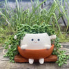 Hangende Succulenten Pot