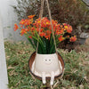 Hangende Succulenten Pot