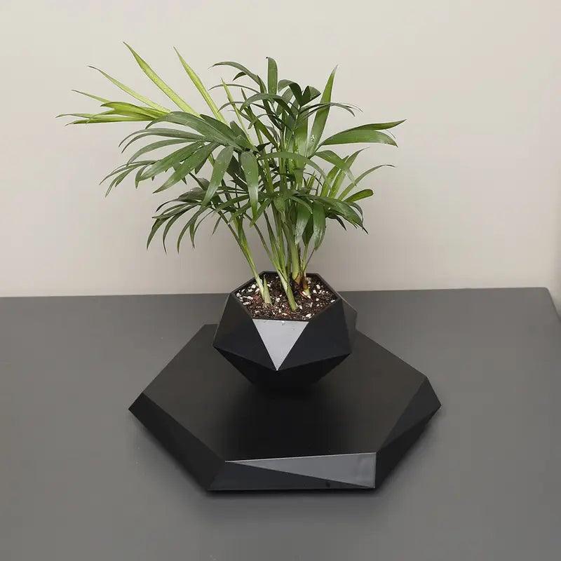 Vaso per piante magnetico sospeso