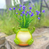 Hangende Succulenten Pot