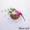 BirdieFigurine| Decoratieve Hangende Papegaaien Set