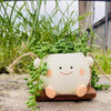 Hangende Succulenten Pot