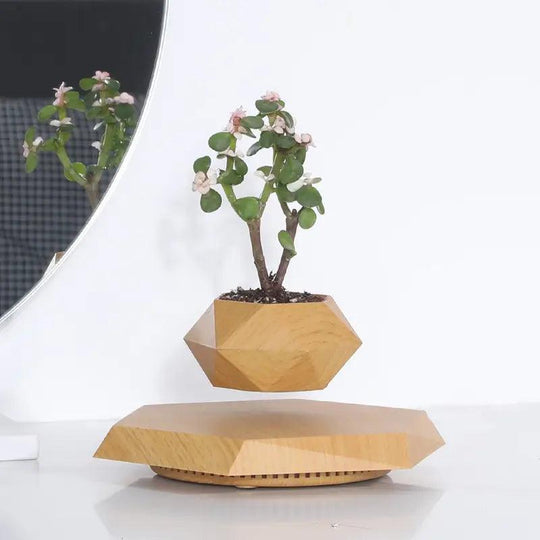 Floating Magnetic Plant Pot