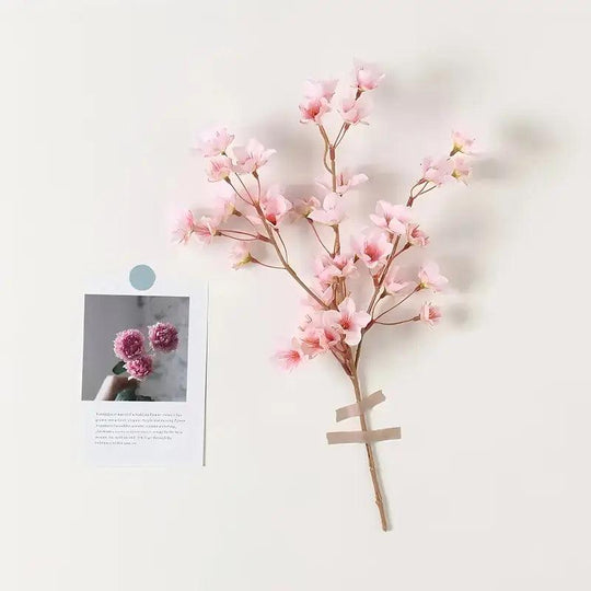 Rami di fiori di ciliegio