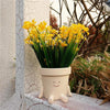 Hangende Succulenten Pot