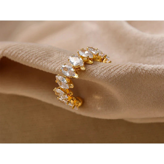 Anello di Lusso Lucido