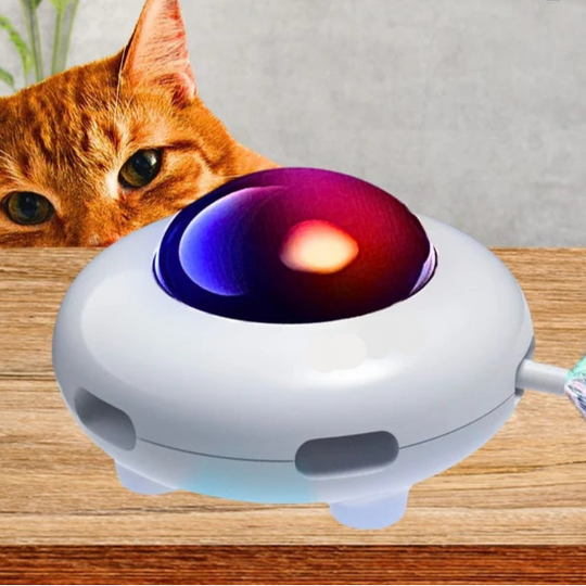 Jouet automatique pour chat avec plumes et collecteur de poils