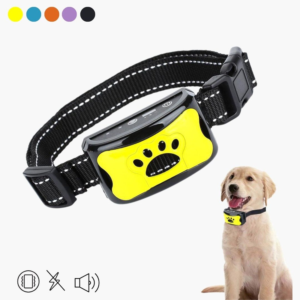 Collier anti-aboiement respectueux des animaux de compagnie